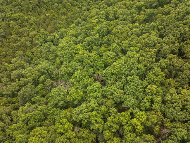 DJI_20250710123148_0156_D | Image 30
