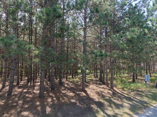 1005 Ladyslipper, Unit 15 Lane, Park Rapids, MN, 56470 | Card Image