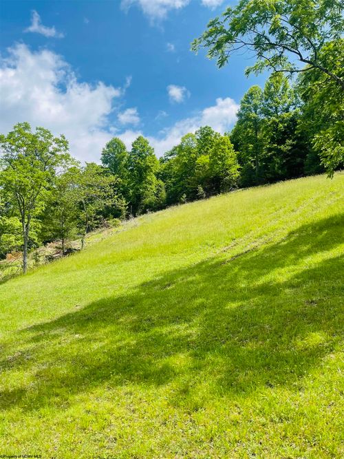 873 Arlie Simmons Rd, FRANKLIN, WV, 26807 | Card Image