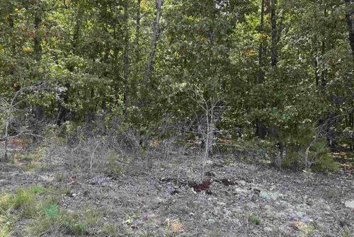 25222 Blue Gill Dr, Roland, AR, 72135-9126 | Card Image