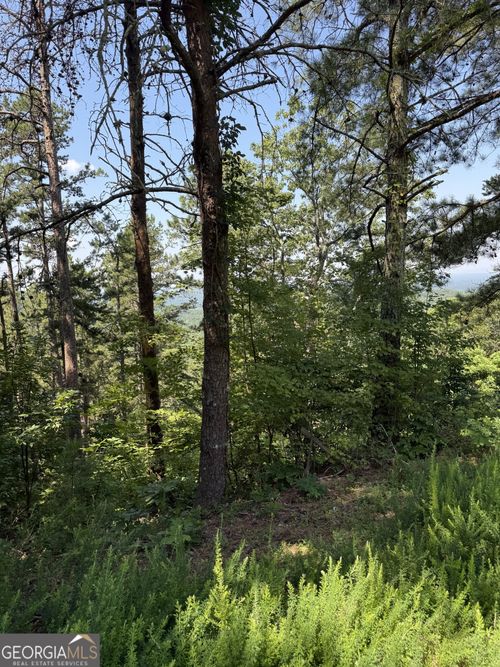 1579 Dallas Ct, Ranger, GA, 30734 | Card Image