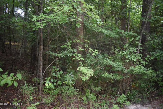 45 Evergreen, Home with 0 bedrooms, 0 bathrooms and null parking in Blounts Creek NC | Image 9