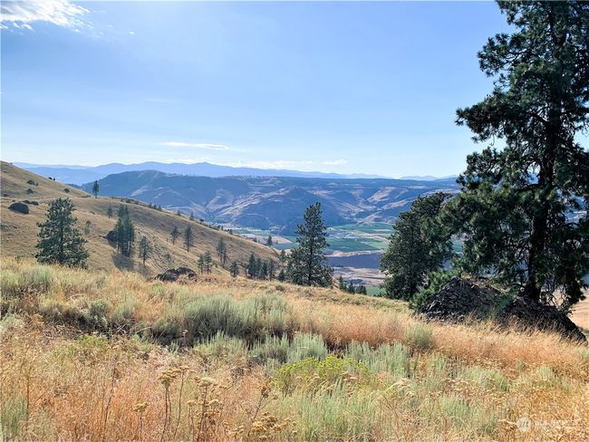 100 Pine Bluffs Ln, Home with 0 bedrooms, 0 bathrooms and null parking in Waterville WA | Image 27
