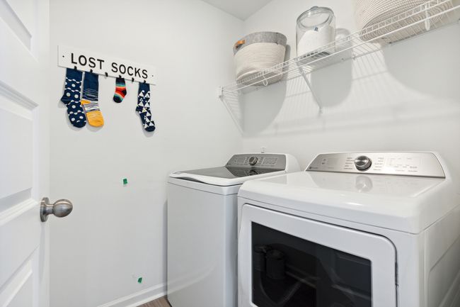 PRIMROSE LAUNDRY | Image 17