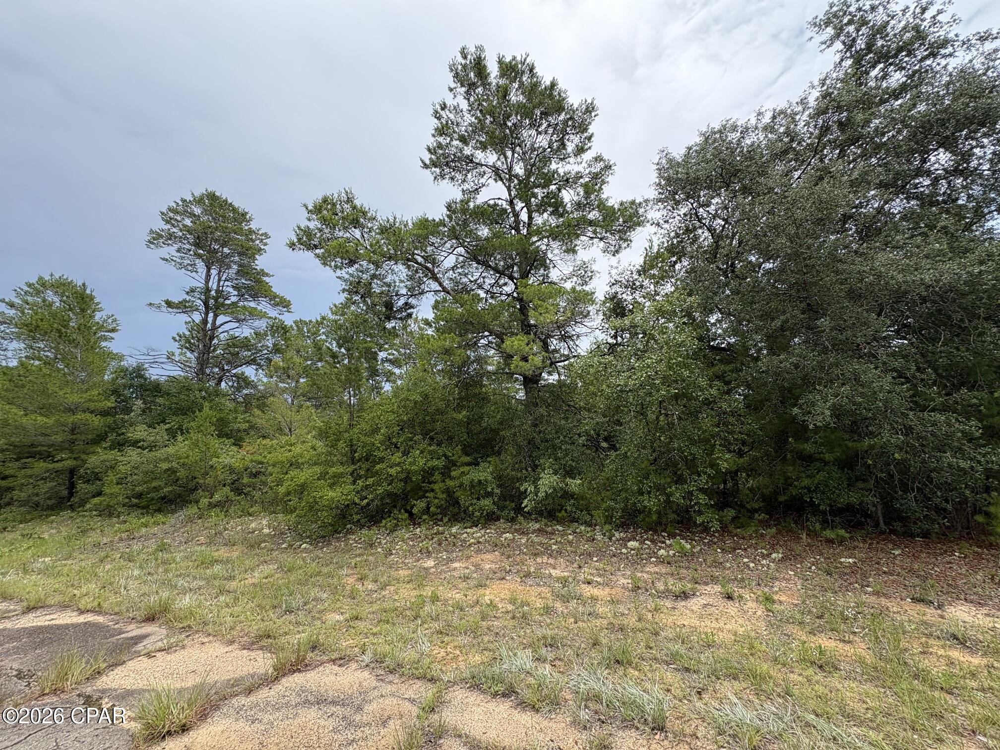 Land in Chipley 2