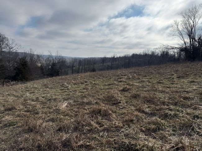 24134 Fate Anderson Rd, Home with 0 bedrooms, 0 bathrooms and null parking in Hindsville AR | Image 5