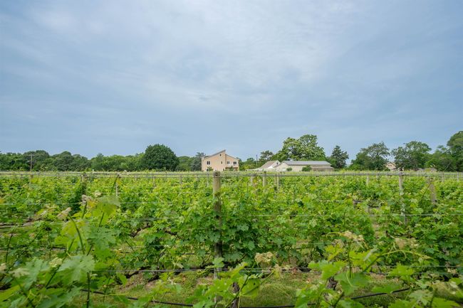 3911 Bayshore Rd, House other with 3 bedrooms, 3 bathrooms and null parking in North Cape May NJ | Image 36