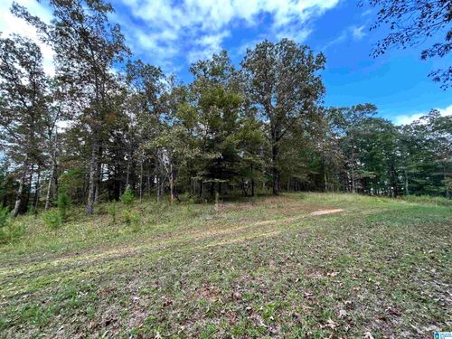 lot-4-0 Harbor Pointe Drive, Delta, AL, 36278 | Card Image