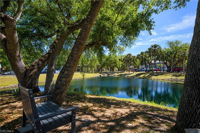 Community pond | Image 36