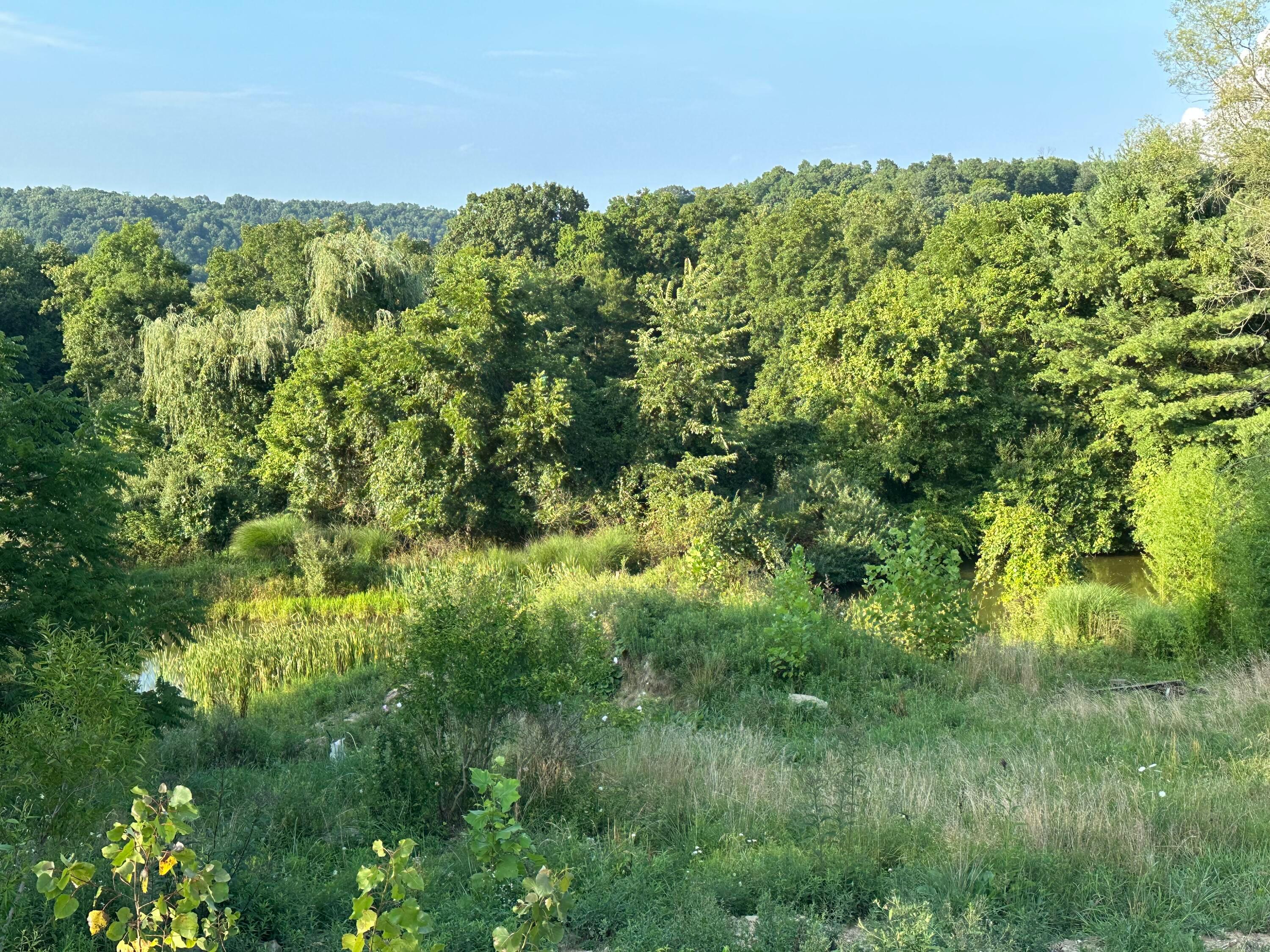 Township Road 373 , Warsaw, OH 43844