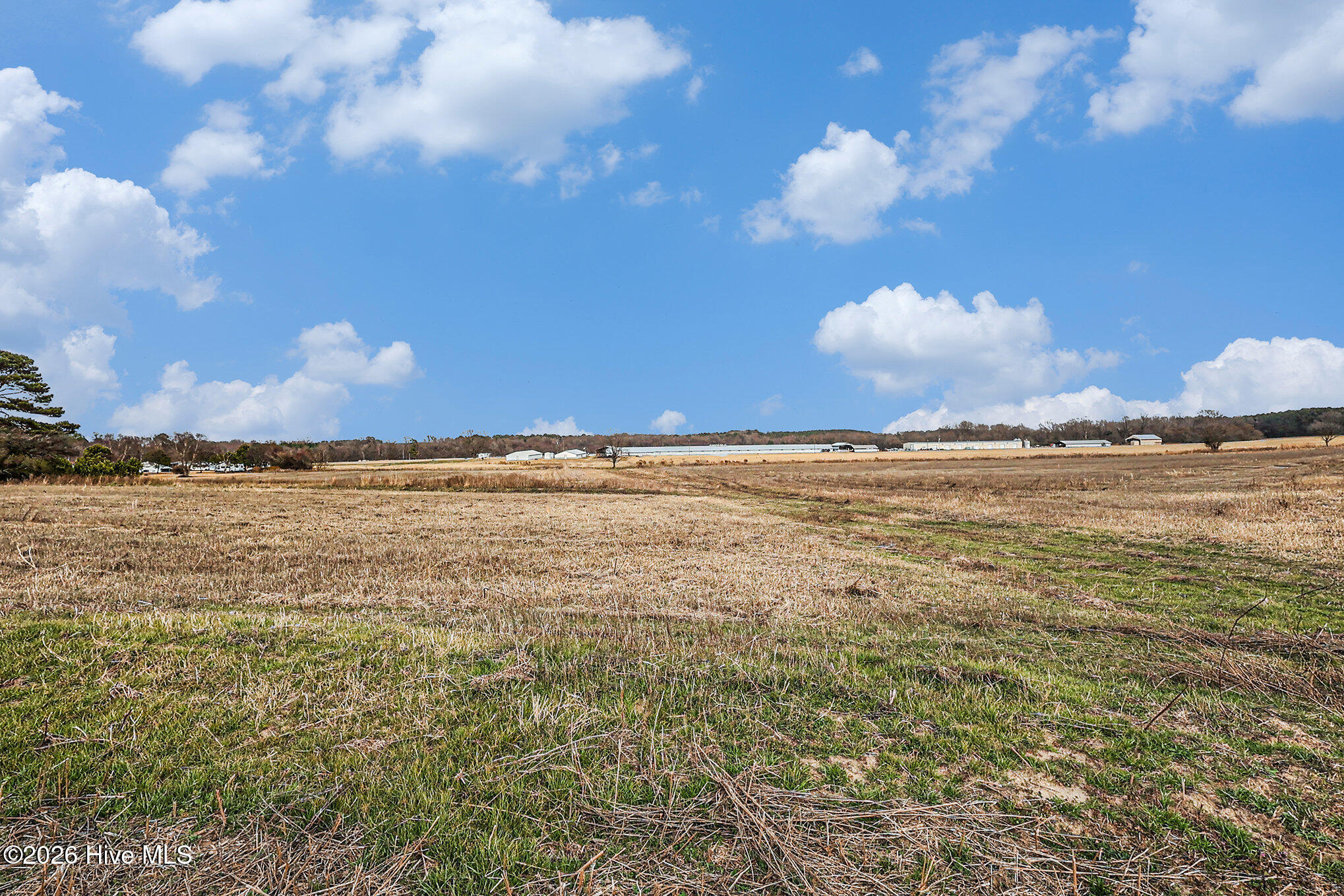 Land in Pikeville 4