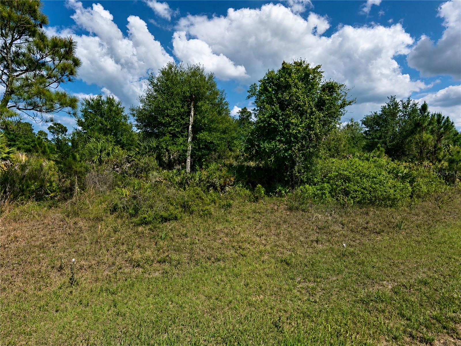Land in NORTH PORT