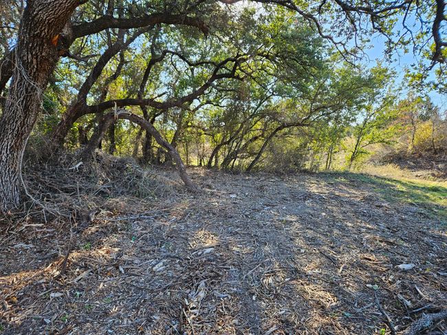 442 Hollow Dr, Home with 0 bedrooms, 0 bathrooms and null parking in Lipan TX | Image 7