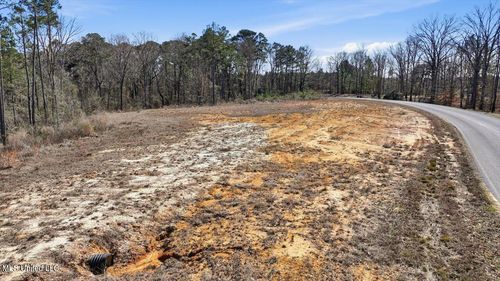 398 Wire Rd, Pelahatchie, MS, 39145-3049 | Card Image