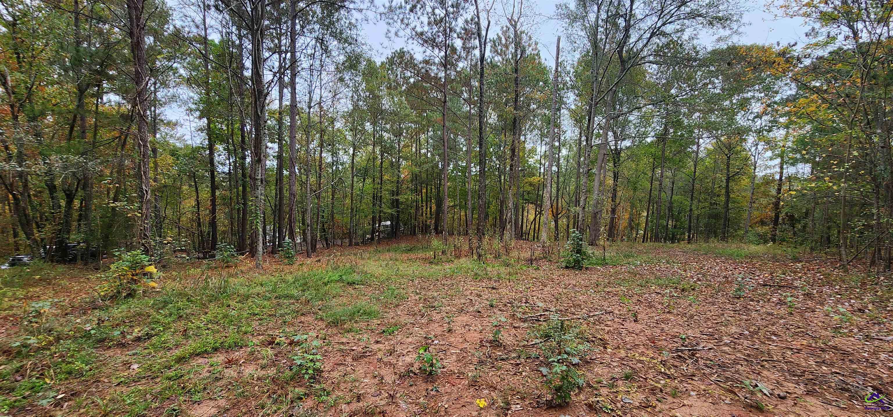 Land in Monticello 3