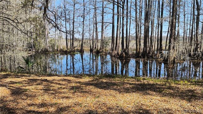 Lake Bradley is east of the home | Image 31