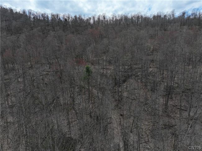 4529 State Highway 28, Home with 0 bedrooms, 0 bathrooms and 10 parking in Hartwick NY | Image 11