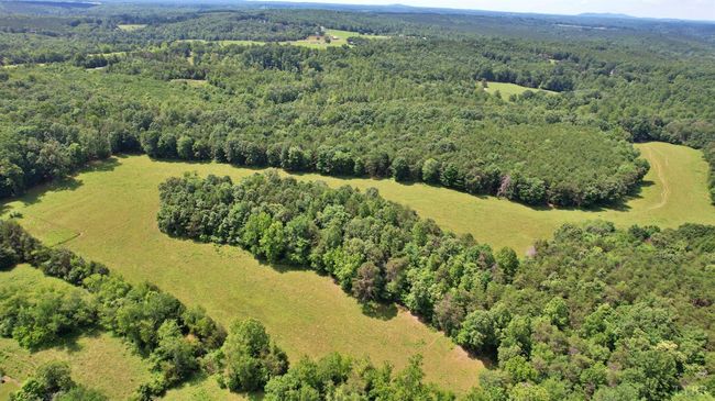 0 Storey Rd, Home with 0 bedrooms, 0 bathrooms and null parking in Concord VA | Image 8