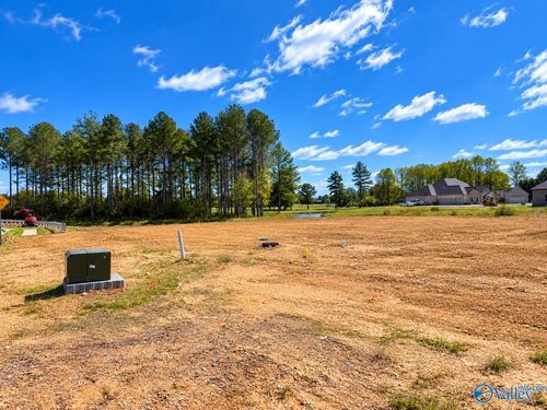 24590 Carnoustie Drive, Athens, AL, 35613 | Card Image