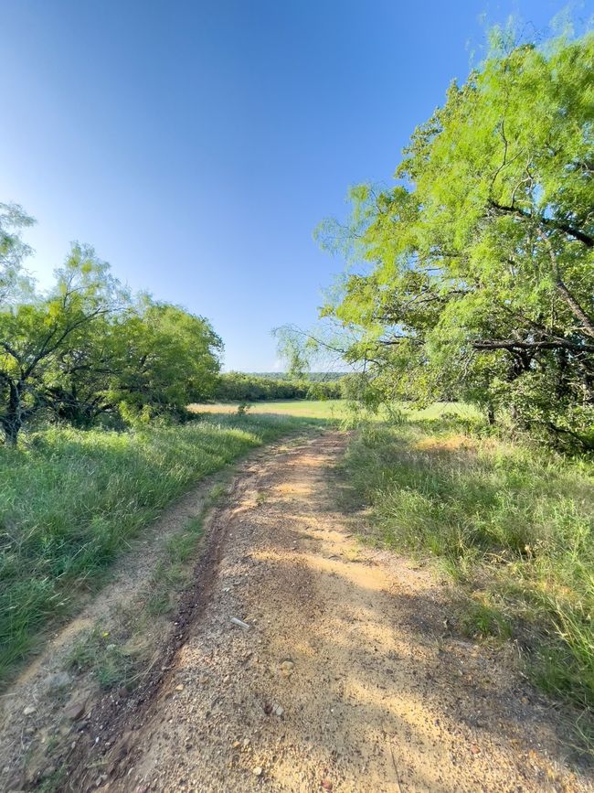 View of street | Image 16