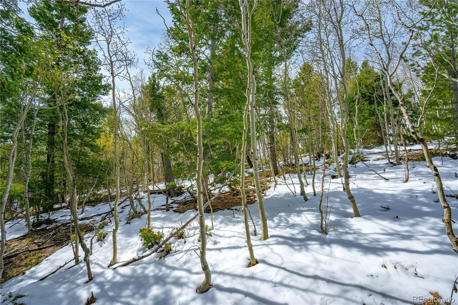 Land in Cripple Creek 2