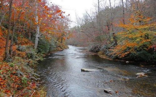 Lot 56 Brasstown, Brasstown, NC, 28902 | Card Image