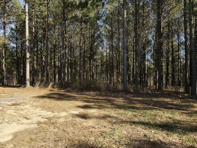 80 High Point Ln, Home with 0 bedrooms, 0 bathrooms and null parking in Jasper TN | Image 138