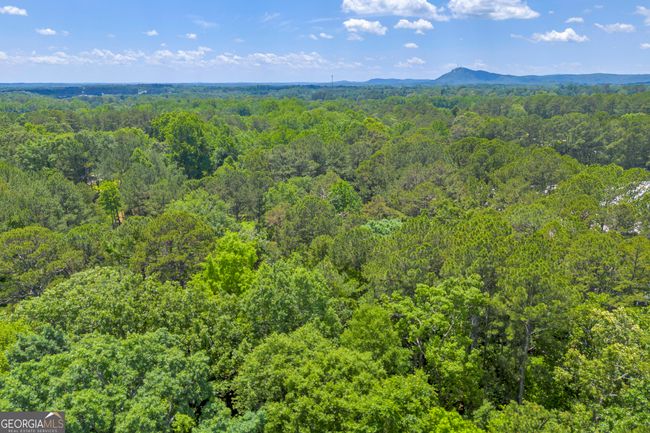 1600 Big A Rd, Home with 0 bedrooms, 0 bathrooms and null parking in Toccoa GA | Image 8