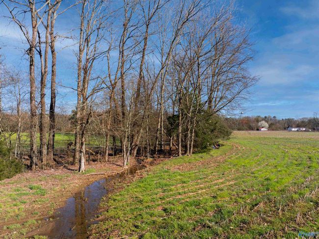 50 Acres Hurt St, Home with 0 bedrooms, 0 bathrooms and null parking in Hollywood AL | Image 11