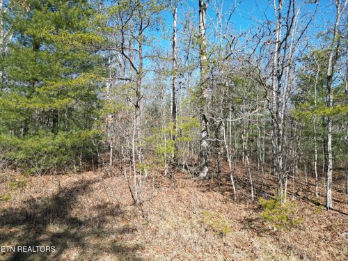 1176 Chanute Trl, Crossville, TN, 38572-3561 | Card Image