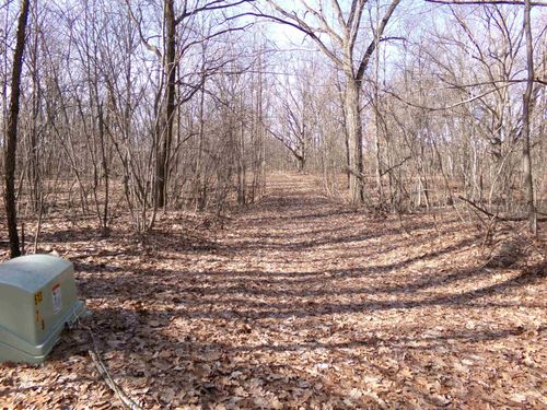 TBD E River Run Drive, Chippewa Township, MI, 48858 | Card Image
