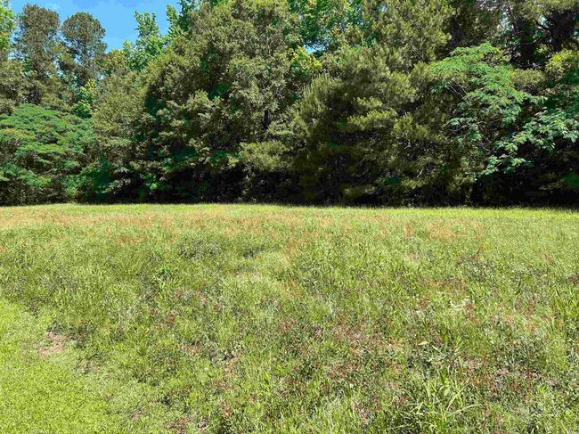 444 Davis Rd, House other with 3 bedrooms, 2 bathrooms and 10 parking in Hemingway SC | Image 14