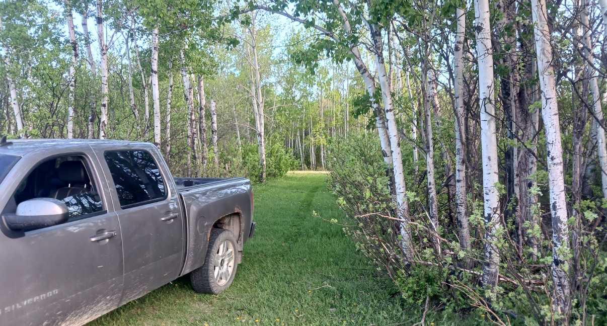 Land in Rural Birch Hills County 3