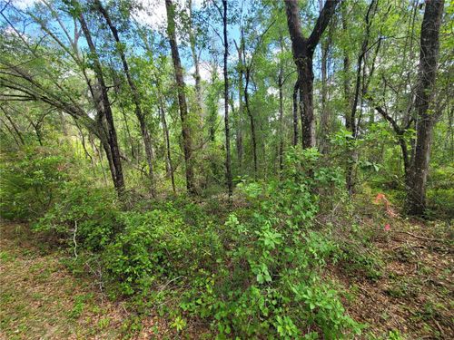 910 Ferncreek Avenue, Inverness, FL, 34453 | Card Image