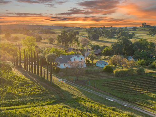 20865 Shenandoah School Rd, Plymouth, CA, 95669-9511 | Card Image