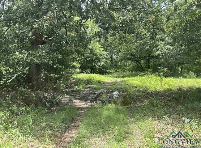 Tract 2 Cr 2314, Home with 0 bedrooms, 0 bathrooms and null parking in Pittsburg TX | Image 8