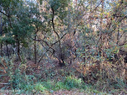 255 Wards Ln, Havelock, NC, 28532-8687 | Card Image