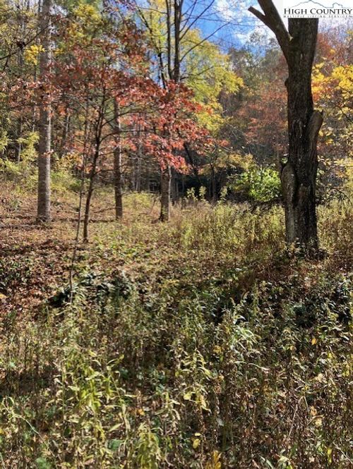 TBD Nc Highway 194 S, Vilas, NC, 28692 | Card Image