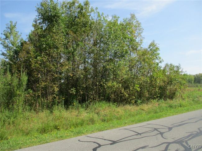 5 Hitchcock Point Road Road, Home with 0 bedrooms, 0 bathrooms and null parking in Sullivan NY | Image 9