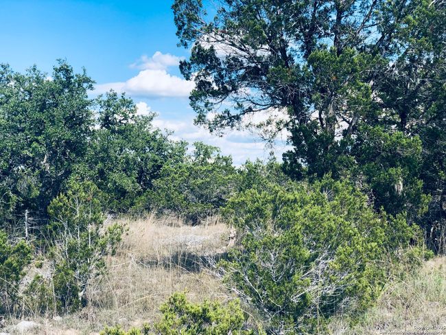 1020 Cliff Cir, Home with 0 bedrooms, 0 bathrooms and null parking in Spring Branch TX | Image 5