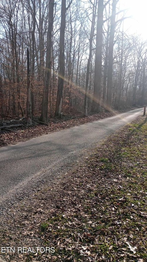 0 Carl Griffith Rd, Robbins, TN, 37852 | Card Image