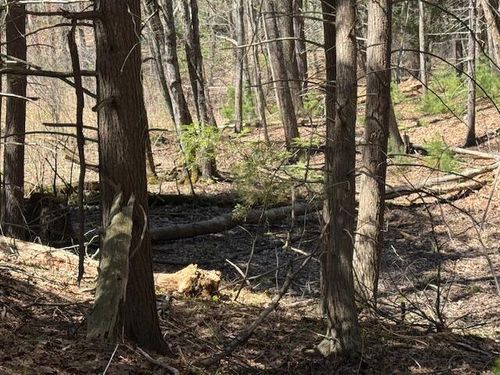 Lot 14A Bartlett Road, Kittery, ME, 03905 | Card Image