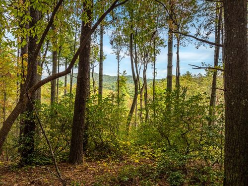 Lot 1 Chief Whitetails Rd, Ellijay, GA, 30540 | Card Image