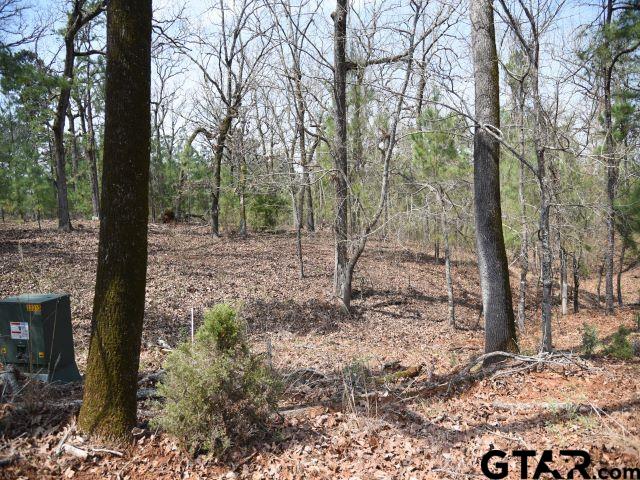 Land in Montalba 2