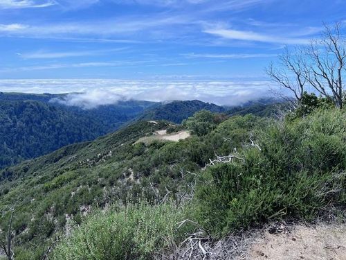 10 Long Ridge, Palo Colorado Road, Carmel, CA, 93923 | Card Image