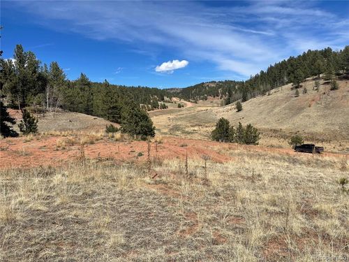 323 Gold King Dr, Cripple Creek, CO, 80813 | Card Image