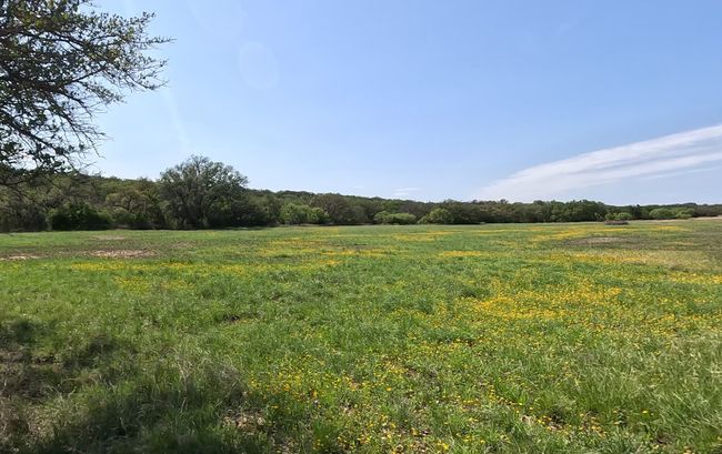 View of landscape featuring a wooded view and a rural view | Image 23