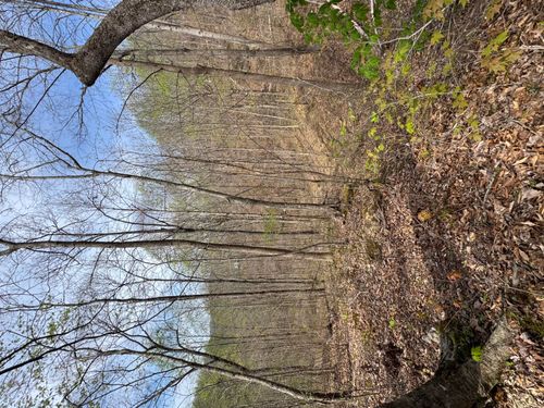 1 Callebs Creek Rd, Hinkle, KY, 40953-5860 | Card Image