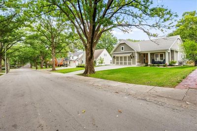 Treed Lined Street | Image 2