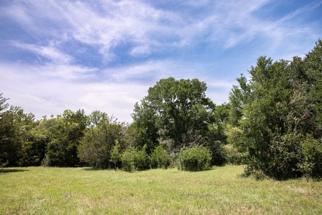 View of tree filled area | Image 10